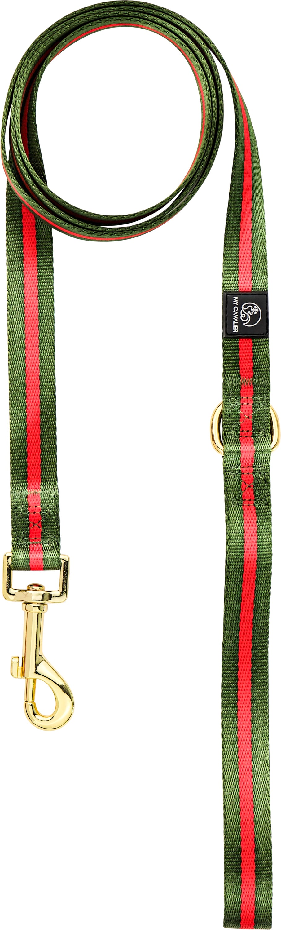 Stylish dog leash with brass fittings and D-ring handle, perfect for fashionable pet owners.